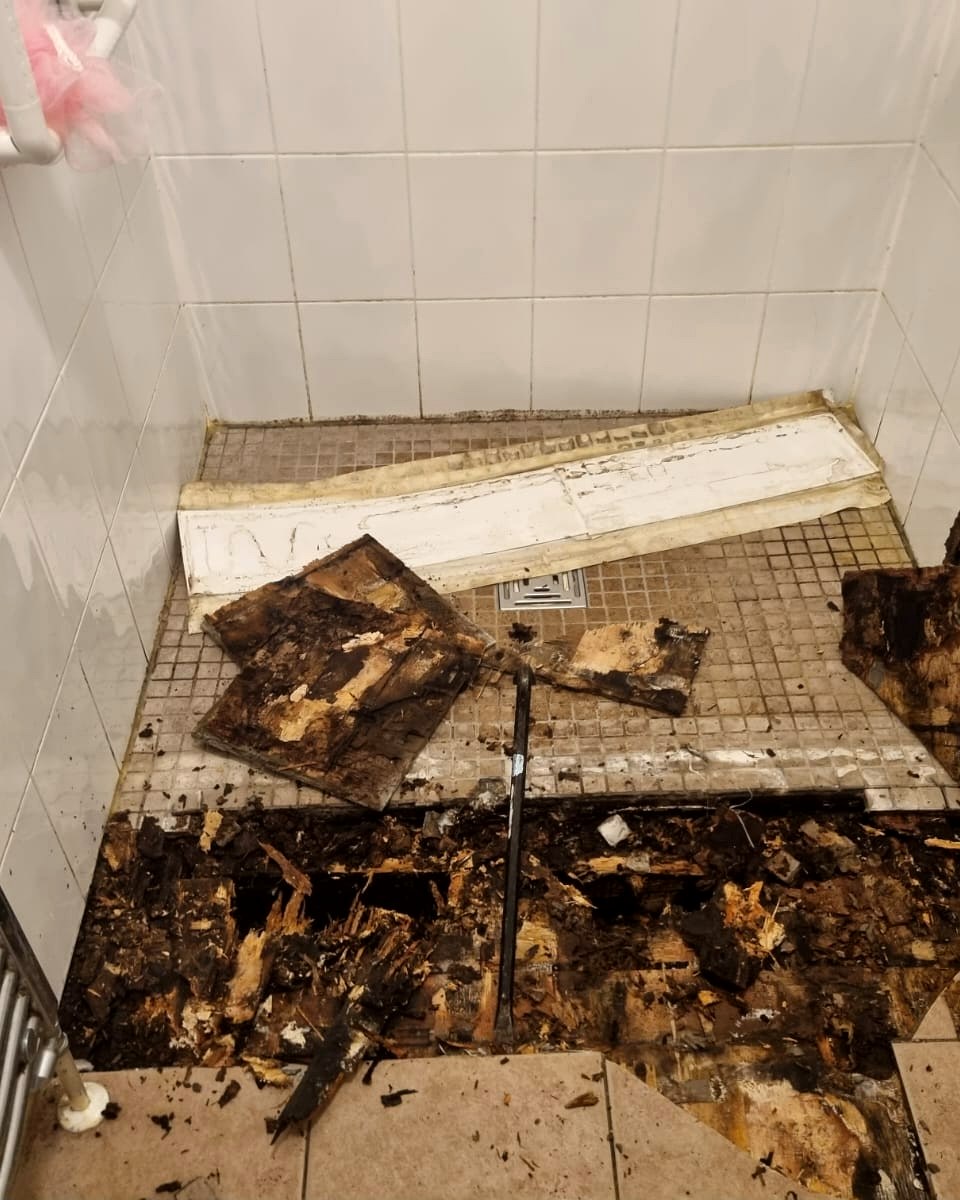 Rotten shower floor before renovation